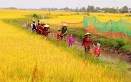 Phát triển du lịch nông nghiệp bền vững: Thuận lợi và thách thức