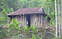 Phân bổ nguồn tiết kiệm 5% chi thường xuyên hỗ trợ xóa nhà tạm, nhà dột nát