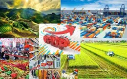 Thủ tướng chỉ đạo giữ vững ổn định kinh tế vĩ mô, kiềm chế lạm phát​, tăng trưởng GDP khoảng 8% năm 2025