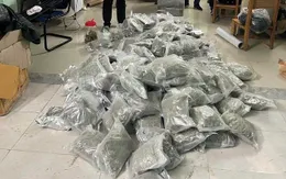 Phá đường dây mua bán ma túy xuyên quốc gia, thu giữ hơn 153kg cần sa