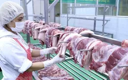 Giá thịt lợn tiếp tục tăng mạnh