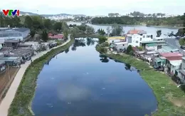 Hồ lắng cạnh hồ Xuân Hương Đà Lạt ô nhiễm nghiêm trọng