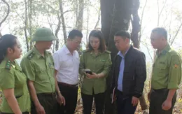 "Báo động đỏ" nguy cơ cháy rừng mùa khô tại Thuận Châu (Sơn La)