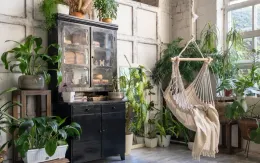 Đưa cây xanh vào nhà, tác dụng tích cực cho cả thể chất và tinh thần
