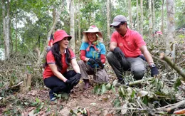 Đi để yêu hơn: Góp mầm xanh để phủ xanh những cánh rừng