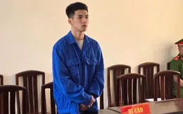 Tài xế taxi bị phạt tù vì tổ chức vượt biên trái phép