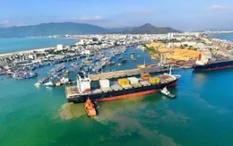Chấp thuận chủ trương đầu tư Dự án bến cảng tổng hợp Long Sơn Mỹ Xuân
