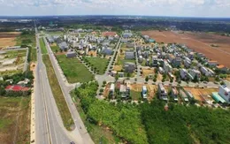 Phê duyệt Nhiệm vụ lập Điều chỉnh quy hoạch sử dụng đất quốc gia thời kỳ 2021 - 2030