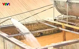 Hàng nghìn hộ dân ở xã đảo Minh Châu chưa có nước sạch, phải dùng nước ô nhiễm