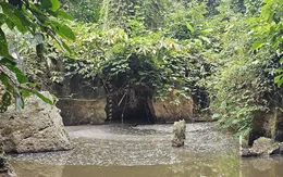 Thanh Hóa: Phát hiện nước suối Lèn Cò Noóng ô nhiễm do nước thải từ trại lợn