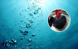 Khám phá chấn động về oxy lật ngược giả thuyết lâu đời về nguồn gốc sự sống trên Trái đất