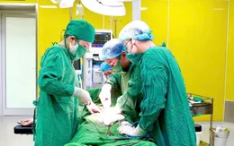 Cảnh báo thai ngoài tử cung nguy hiểm