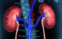 Tổn thương thận cấp: Phát hiện sớm - Cơ hội hồi phục cao