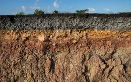 Phát hiện đất và trầm tích lưu trữ nhiều CO2 hơn dự đoán