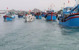 Việt Nam có khả năng gỡ "thẻ vàng" của EC với ngành thủy sản