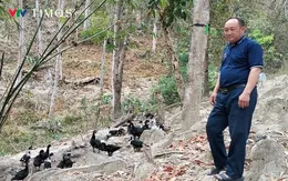 Lá đơn thoát nghèo và khát vọng đổi đời nơi biên giới