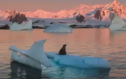 Bảo tồn sông băng - Hành động cấp bách vì an ninh nguồn nước