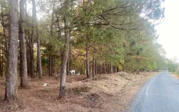 Bắt thanh niên kéo bé gái 14 tuổi vào rừng thông hiếp dâm