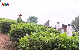 Hướng nghiệp, đào tạo nghề giúp học viên cai nghiện ma túy tái hòa nhập cộng đồng