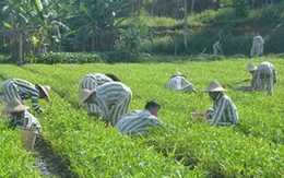 Bộ Công an đề xuất nhiều quy định mới về chế độ quản lý giam giữ