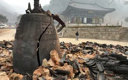 Hàn Quốc: Cháy rừng lan rộng thiêu rụi ngôi chùa hơn 1.000 năm tuổi, 18 người chết