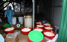 Video: Triệt phá xưởng sản xuất 1,4 tấn ma túy ketamin tại Nha Trang