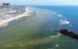 Xu hướng chụp ảnh check-in góp phần quảng bá du lịch