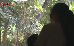 Mua bán người núp bóng cho, nhận con nuôi