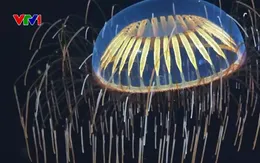 Phát hiện hệ sinh thái kỳ lạ nằm sâu 1.300m dưới lớp băng ở Nam Cực