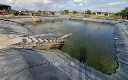 Ninh Thuận chủ động các giải pháp ứng phó trong mùa khô năm 2025