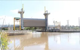 Các địa phương chủ động ứng phó với xâm mặn diễn biến phức tạp