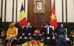 Chủ tịch nước Lương Cường và Nhà Vua Bỉ Philippe hội kiến