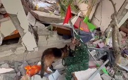 Lực lượng cứu hộ Việt Nam ở Myanmar đưa thi thể 7 nạn nhân ra khỏi đống đổ nát