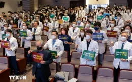 Sinh viên y khoa Hàn Quốc trở lại học đường