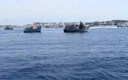 Tìm thấy 2 ngư dân còn lại trên tàu cá bị nạn ở Bình Thuận