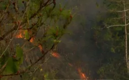 Dập tắt cháy rừng ven sông Nho Quế, Hà Giang