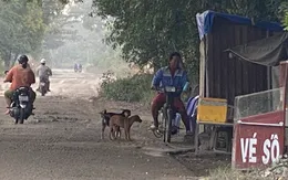 Vũng Tàu: Một con chó nghi bị bệnh dại cắn nhiều người