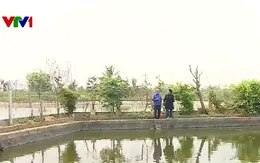 Nhiều hộ nuôi trồng thủy sản ở Hải Phòng không được hỗ trợ sau bão số 3