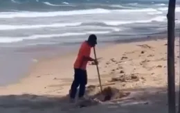 Bình Thuận: Xử phạt người chôn rác trên bãi biển