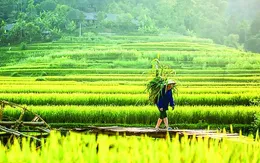 Đánh thức tiềm năng du lịch xứ Thanh - Tham vọng vươn tầm quốc tế