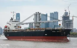 Tàu nước ngoài đâm chìm tàu cá Việt Nam, 4 thuyền viên thiệt mạng