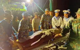 Cấp cứu ngư dân bị máy xay đá cuốn dập nát bàn tay