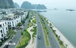 Yêu cầu xác minh làm rõ thông tin lái xe điện "chặt chém", doạ du khách