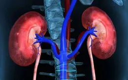 Cảnh báo hội chứng thận hư tái phát vì tự ý bỏ thuốc