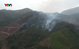 Cơ bản khống chế 2 vụ cháy rừng ở Quảng Ninh