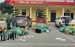 Phát hiện, bắt giữ hơn 350 bình khí cười đang được vận chuyển đi tiêu thụ