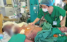 Mắc liên cầu lợn nguy kịch sau khi ăn lòng lợn