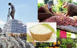 Điều chỉnh chiến lược xuất khẩu nông lâm thủy sản