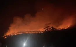 Cháy rừng sản xuất ở Vĩnh Phúc