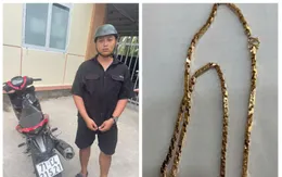 Bắt giữ đối tượng mang bình xịt hơi cay đi cướp tiệm vàng